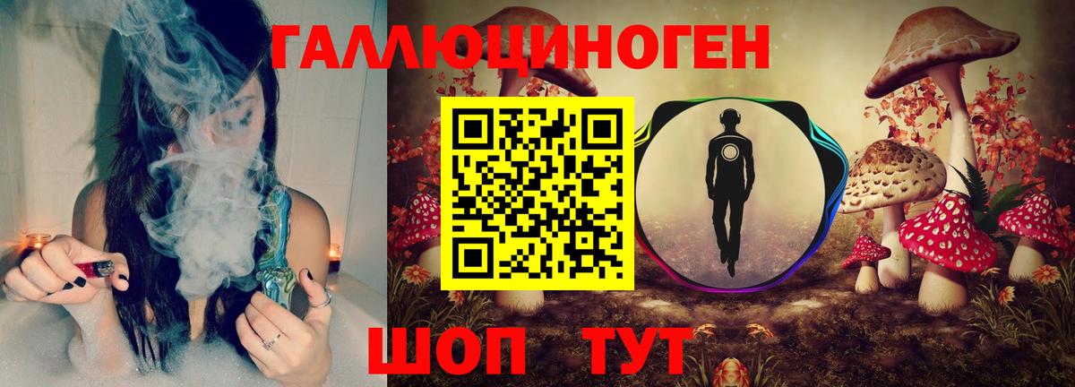 Псилоцибиновые грибы Psilocybine cubensis  Вход с VPN  Джанкой 